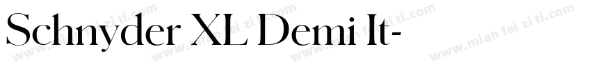 Schnyder XL Demi It字体转换